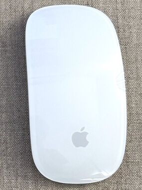 Apple Magic Mouse, with charging cable.